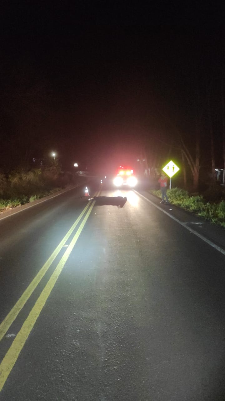 Acidente na SC-157 em Quilombo resulta em morte de pedestre