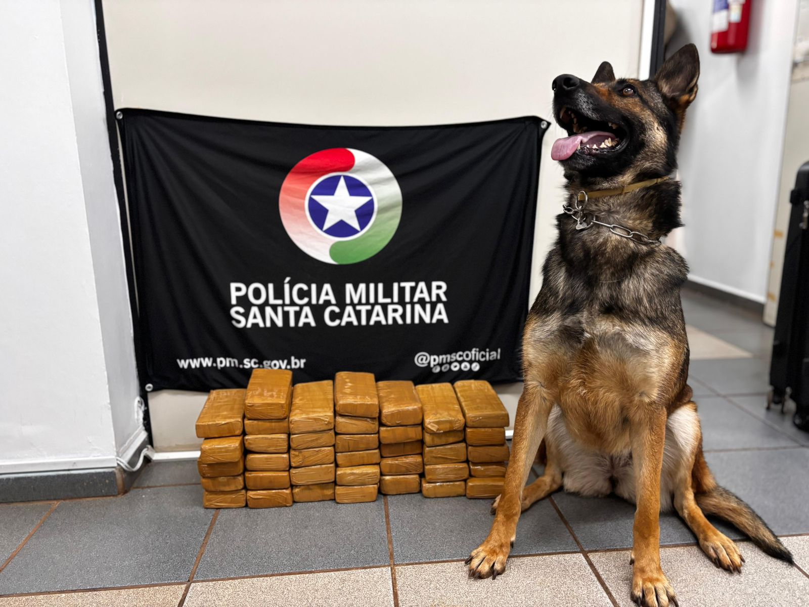 PM apreende mais de 20 kg de maconha durante abordagem a ônibus em Xanxerê