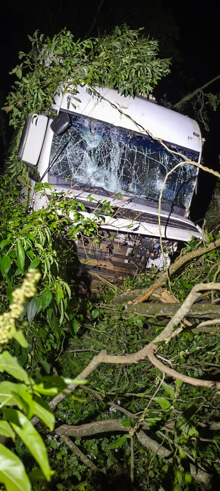 Caminhão sai da pista e desce ribanceira de 30 metros na BR-158 em Palmitos