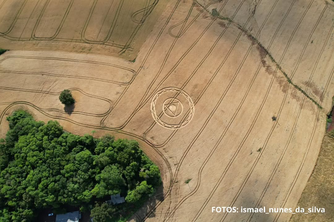 🛸 Agroglifos voltam a aparecer em Ipuaçu e reacendem o mistério no Oeste de Santa Catarina